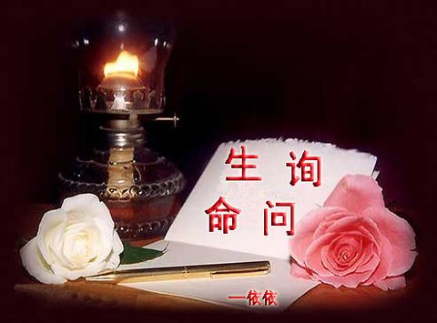 
	
   	�����ı�Ǯ�ǽ���