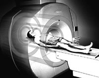 ����ϸ����:�Ź������������