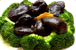 ���ֶ��������ʳϰ��