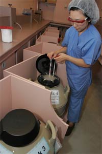 ����ǰ���ѳ� ������������