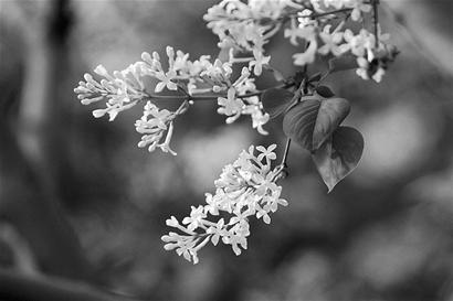 ׷�����ҲӦ�ʿɶ�ֹ