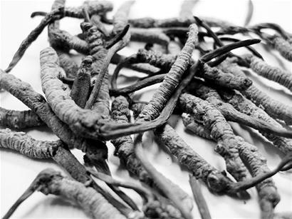 Ī�ò�ҩ������