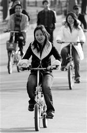 �ﳵ����Ч����