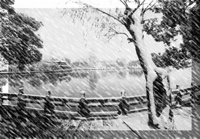 ���Բ������ƽ��������