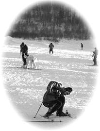 ����ԭ���������Թ����ϰ�