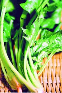 �����ۻ����� �´���ʳ4ʳƷ