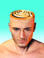 ��͡��ҩ���ܲ���Ԥ�������ĺ�Ĭ��