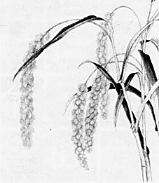 ���ӵĻ���