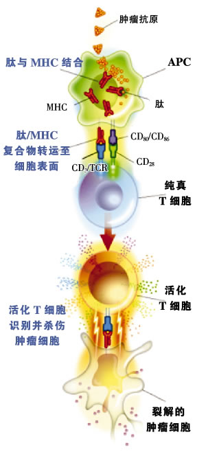 ������������:���ڽ���ʱ