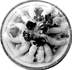 ���ص��˶�����ֲˣ�ʳ�ƣ�