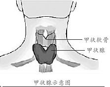 ��״�٣��˽��Լ���