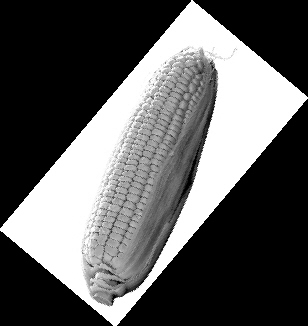 �������ඹ��Ӫ����ֵ�ߣ���ʳ��֪��