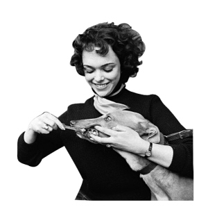 ����Ҳ��Ҫÿ��ˢ���������ǻ���