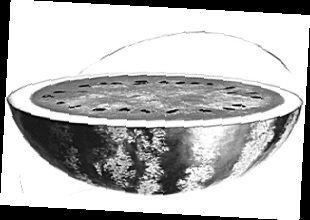 ������Ƥ������