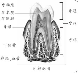 ����ȱ���˾��첹����������