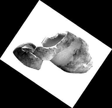 ������������ʳ��Ӫ��ABC��