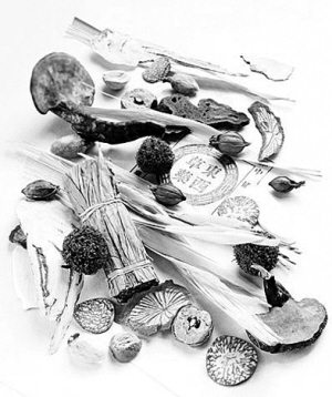 ��ҩҲ���������