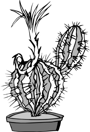 �����鴦��������ž�