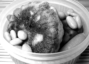 �����ڱ������ֲˣ�