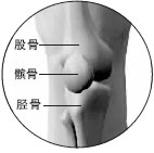 �ƹ����������ڹؽ���