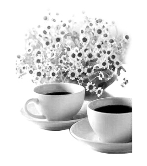 ʲô������Ů��������