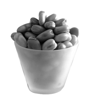 ������ÿ�ܳ��Ĵζ���