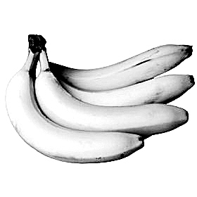 ���˱��أ���������ٳ��棨������ʾ��