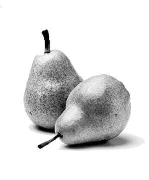 ���˱��أ���������ٳ��棨������ʾ��