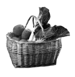 ����������Ҫ��ʳ