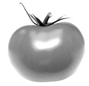 ����������˥��