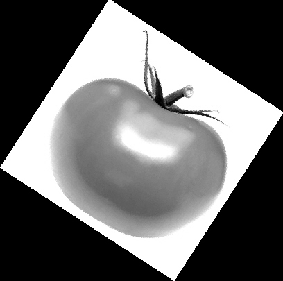 ����������˥��