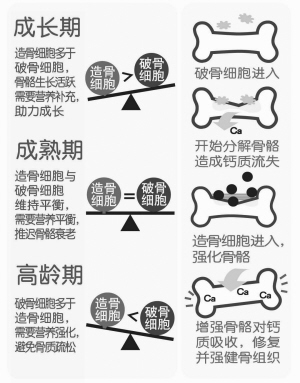 OMP���û���