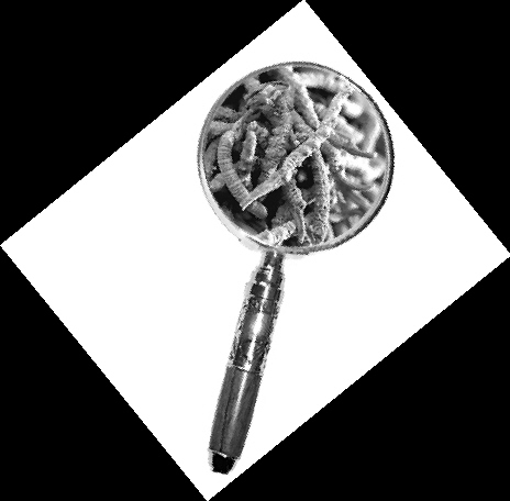 �����Ĳݣ��������꣨��ҩʰ����