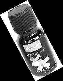 3����ζ��������