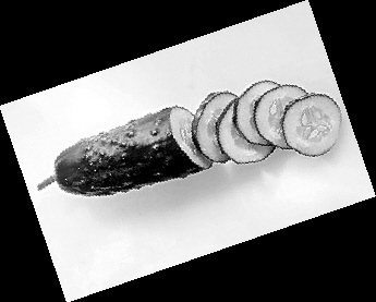 3����ζ��������