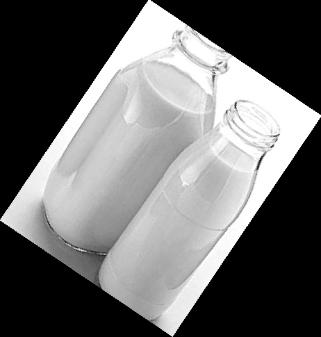 ���ţ���ܻ���