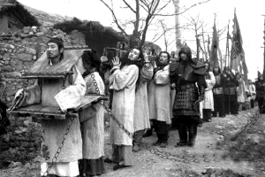 ����н������ְ���ɰܣ���ʷ�ϵ�����ѧ��