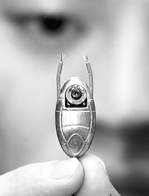 ���׳桱������