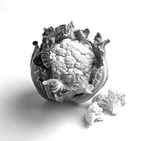 ʮ���������桱���֢�������е���