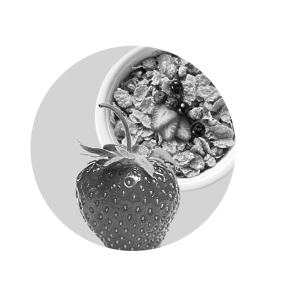 ������ʳ�����