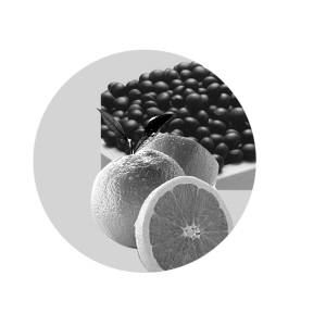 ������ʳ�����