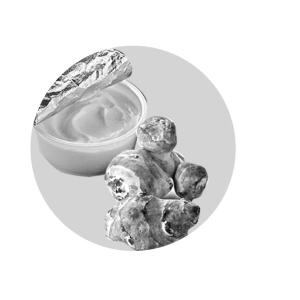 ������ʳ�����