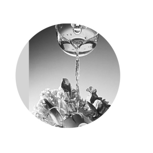 ������ʳ�����