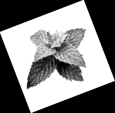 �������ζ���ź������ͣ�����С���ţ�