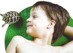 ����С���������������