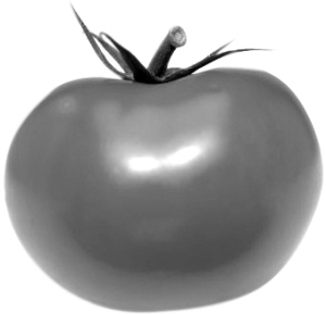 8��ʳƷ���ʺ����죨Ӫ���뽡����