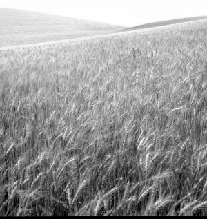 ����轡��ʱ�е���Ʒ