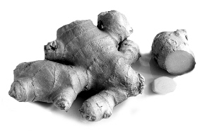 ����������������θ����