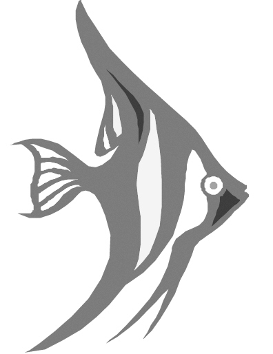 ��׼�𰸶���������