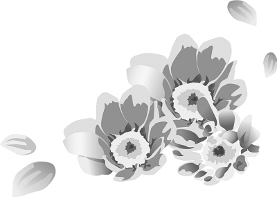 ��Ȼ�䣬���������������